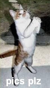 100