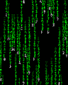 Thumbnail for version as of 00:45, 13 November 2024