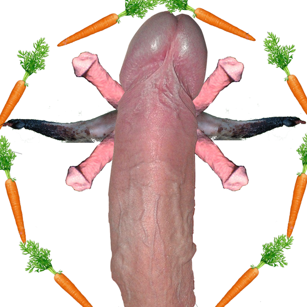 File:Pspu.png