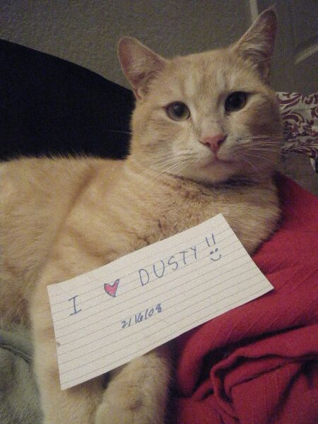 File:Dusty-support-1.jpg