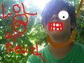 Thumbnail for version as of 00:44, 13 November 2024