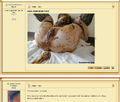 Thumbnail for version as of 00:44, 13 November 2024
